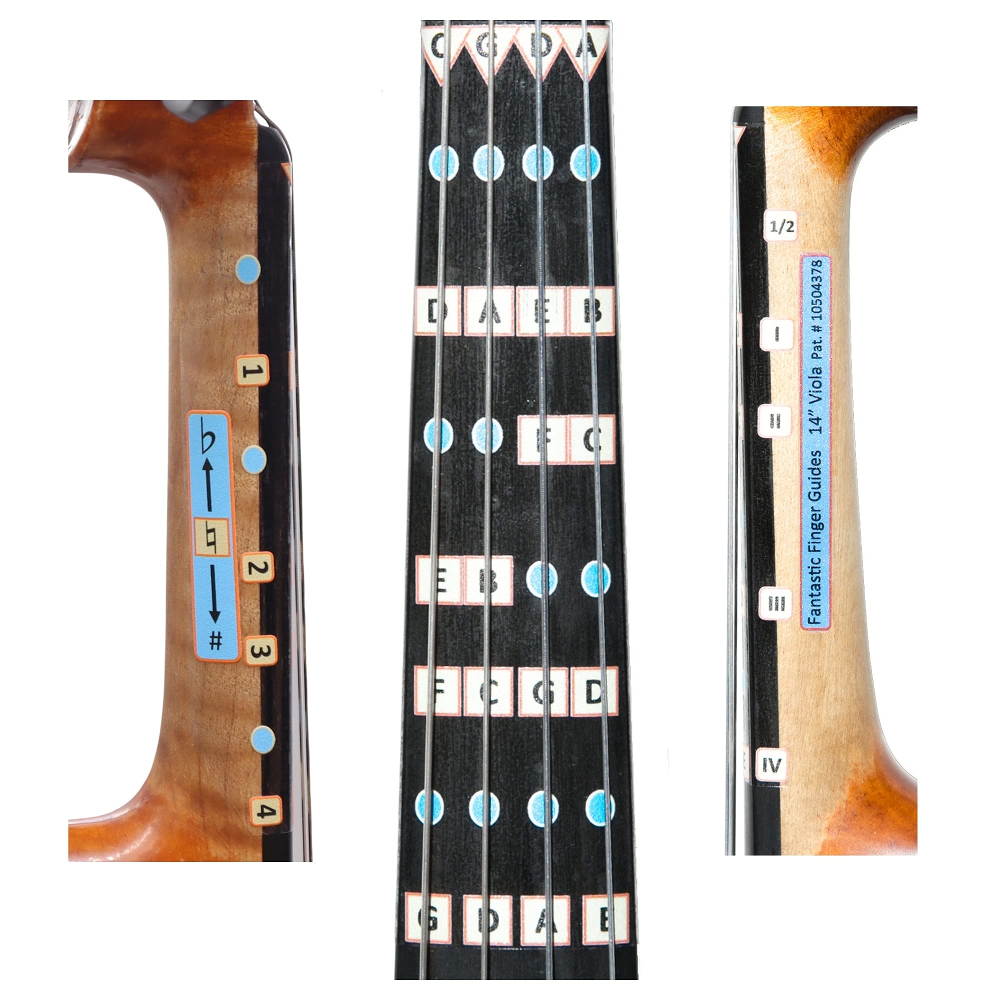アート・デザイン・音楽 Learning the Fingerboard アート・デザイン・音楽 Learning the Fingerboard アート